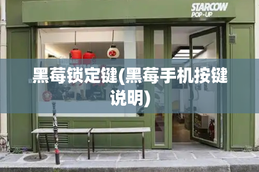 黑莓锁定键(黑莓手机按键说明)-第1张图片-星选测评