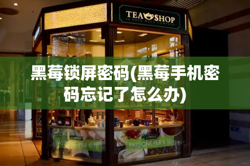 黑莓锁屏密码(黑莓手机密码忘记了怎么办)