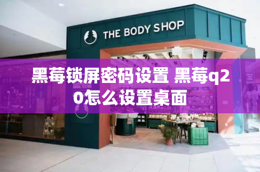 黑莓锁屏密码设置 黑莓q20怎么设置桌面