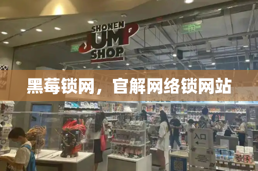 黑莓锁网，官解网络锁网站