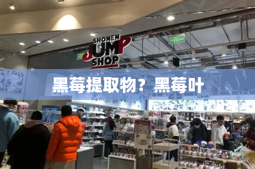 黑莓提取物？黑莓叶-第1张图片-星选测评