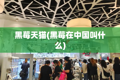 黑莓天猫(黑莓在中国叫什么)
