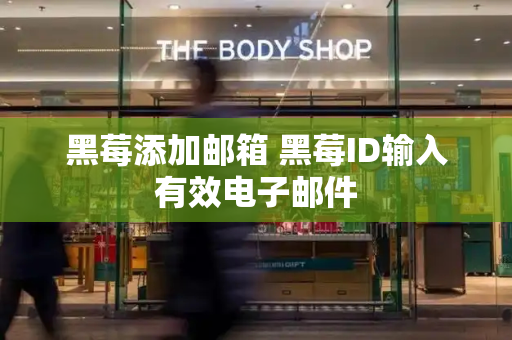 黑莓添加邮箱 黑莓ID输入有效电子邮件-第1张图片-星选测评