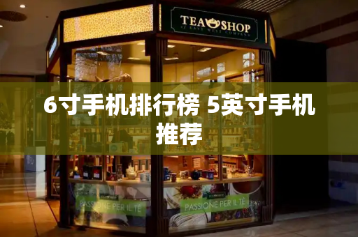 6寸手机排行榜 5英寸手机推荐-第1张图片-星选测评