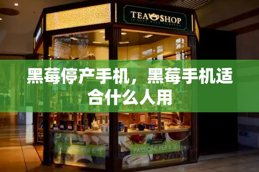 黑莓停产手机，黑莓手机适合什么人用