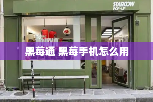 黑莓通 黑莓手机怎么用-第1张图片-星选测评