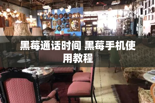黑莓通话时间 黑莓手机使用教程-第1张图片-星选测评