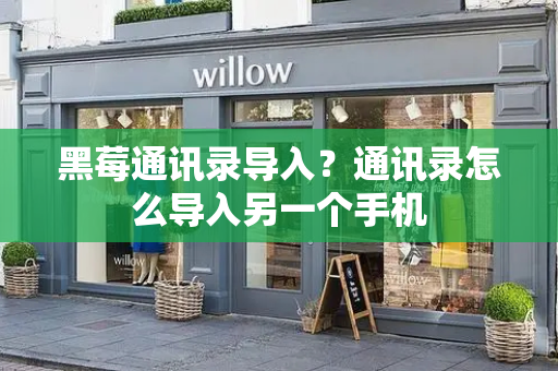 黑莓通讯录导入？通讯录怎么导入另一个手机-第1张图片-星选测评