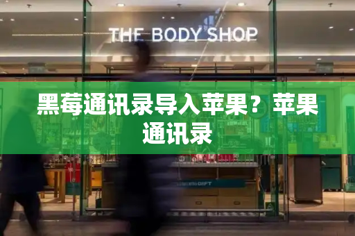 黑莓通讯录导入苹果？苹果通讯录-第1张图片-星选测评