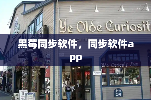黑莓同步软件，同步软件app