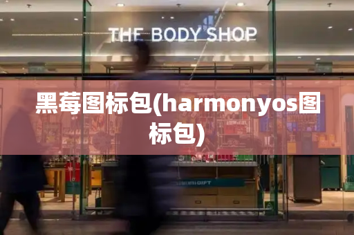 黑莓图标包(harmonyos图标包)