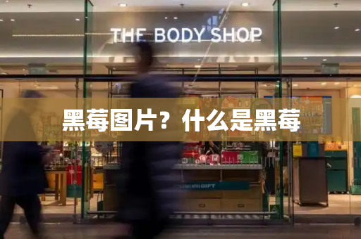 黑莓图片？什么是黑莓