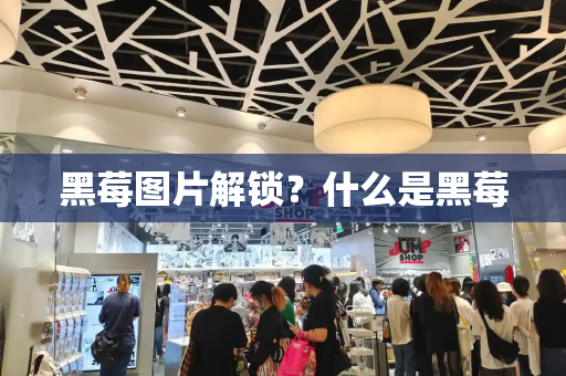 黑莓图片解锁？什么是黑莓