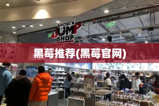 黑莓推荐(黑莓官网)