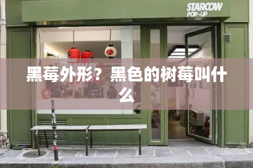 黑莓外形？黑色的树莓叫什么