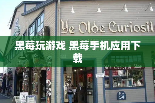 黑莓玩游戏 黑莓手机应用下载-第1张图片-星选测评