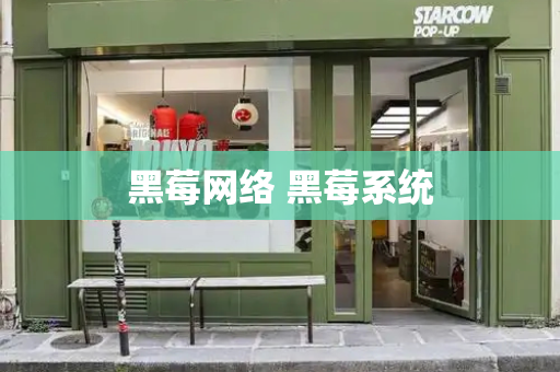 黑莓网络 黑莓系统-第1张图片-星选测评
