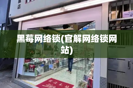 黑莓网络锁(官解网络锁网站)-第1张图片-星选测评