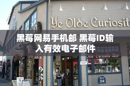 黑莓网易手机邮 黑莓ID输入有效电子邮件-第1张图片-星选测评