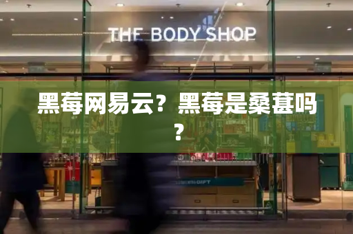 黑莓网易云？黑莓是桑葚吗？