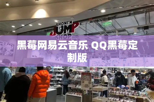 黑莓网易云音乐 QQ黑莓定制版