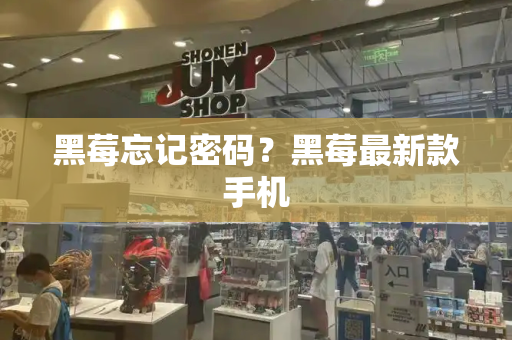 黑莓忘记密码？黑莓最新款手机