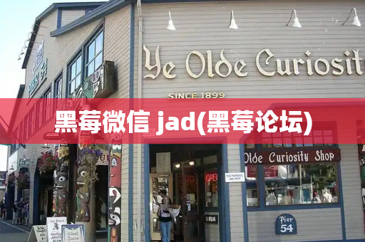 黑莓微信 jad(黑莓论坛)-第1张图片-星选测评