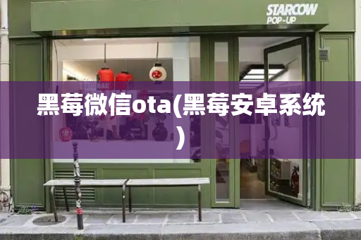 黑莓微信ota(黑莓安卓系统)-第1张图片-星选测评
