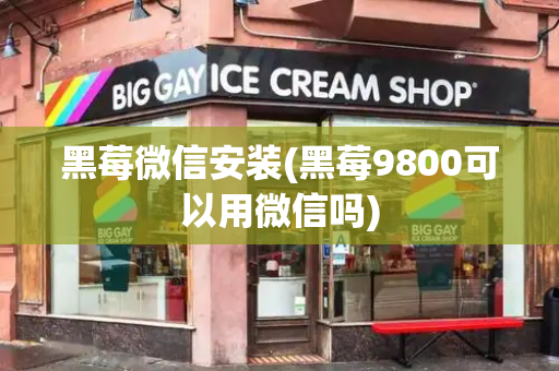 黑莓微信安装(黑莓9800可以用微信吗)
