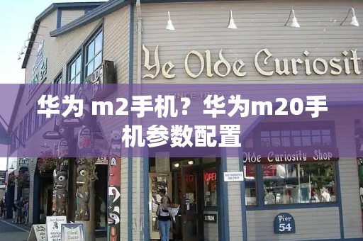 华为 m2手机？华为m20手机参数配置-第1张图片-星选测评