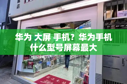 华为 大屏 手机？华为手机什么型号屏幕最大-第1张图片-星选测评