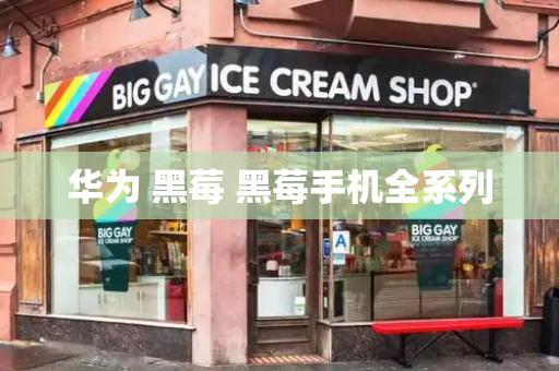 华为 黑莓 黑莓手机全系列