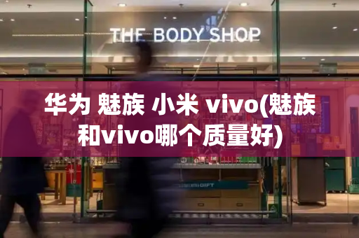 华为 魅族 小米 vivo(魅族和vivo哪个质量好)-第1张图片-星选测评