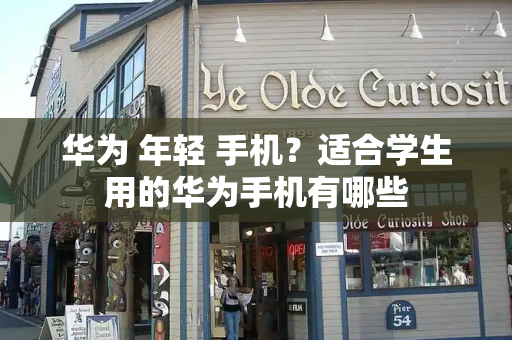 华为 年轻 手机？适合学生用的华为手机有哪些-第1张图片-星选测评