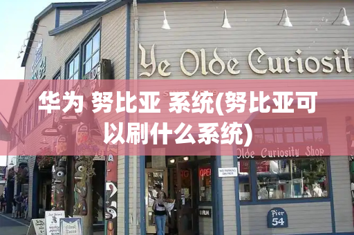 华为 努比亚 系统(努比亚可以刷什么系统)-第1张图片-星选测评
