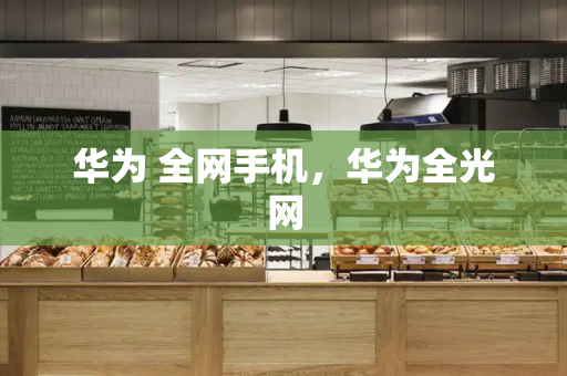华为 全网手机，华为全光网
