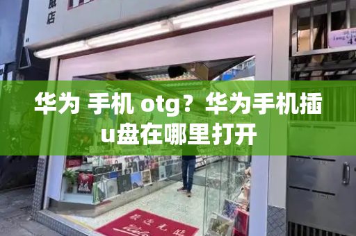 华为 手机 otg？华为手机插u盘在哪里打开-第1张图片-星选测评