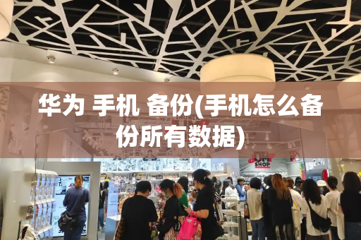 华为 手机 备份(手机怎么备份所有数据)