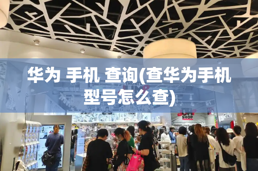 华为 手机 查询(查华为手机型号怎么查)-第1张图片-星选测评