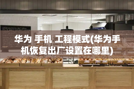 华为 手机 工程模式(华为手机恢复出厂设置在哪里)-第1张图片-星选测评