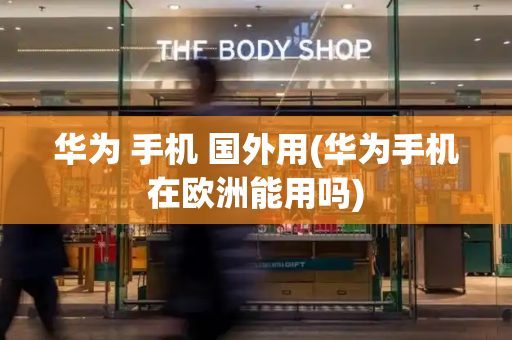 华为 手机 国外用(华为手机在欧洲能用吗)-第1张图片-星选测评