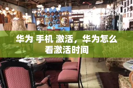 华为 手机 激活，华为怎么看激活时间-第1张图片-星选测评
