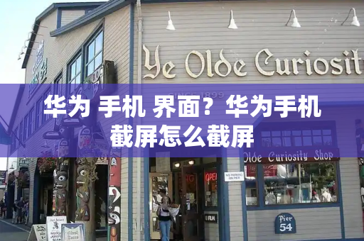 华为 手机 界面？华为手机截屏怎么截屏-第1张图片-星选测评