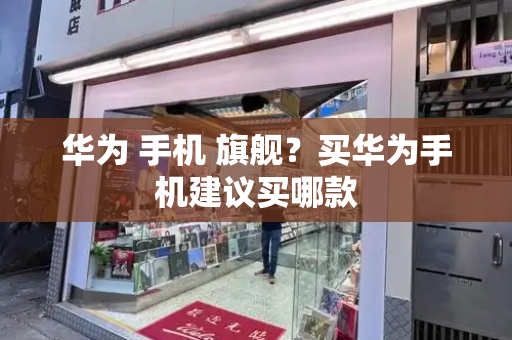 华为 手机 旗舰？买华为手机建议买哪款