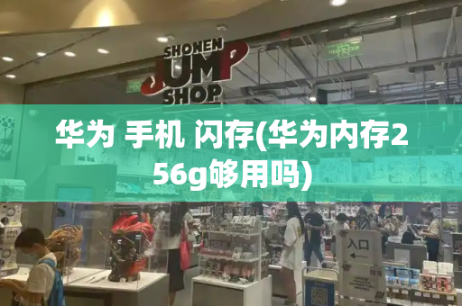 华为 手机 闪存(华为内存256g够用吗)