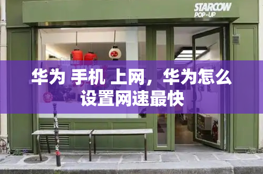 华为 手机 上网，华为怎么设置网速最快-第1张图片-星选测评