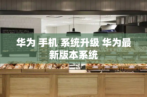 华为 手机 系统升级 华为最新版本系统-第1张图片-星选测评