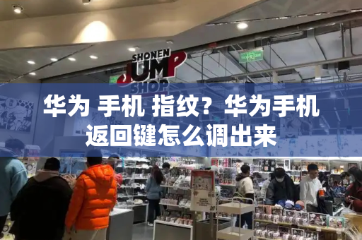 华为 手机 指纹？华为手机返回键怎么调出来-第1张图片-星选测评