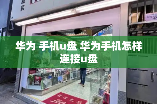 华为 手机u盘 华为手机怎样连接u盘-第1张图片-星选测评