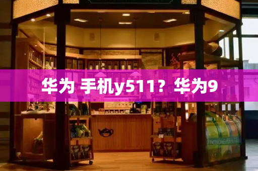 华为 手机y511？华为9